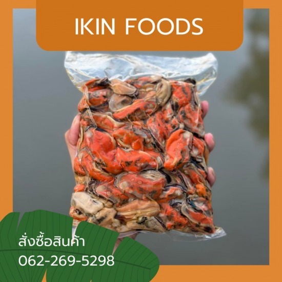 ขายส่งหอยแมลงภู่ต้ม - โรงงานผลิตอาหารทะเลแปรรูป ขายส่งหอยแมลงภู่ต้ม - โรงงานผลิตอาหารทะเลแปรรูป