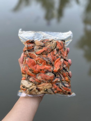 หอยแมลงภู่ต้ม หอยแมลงภู่ต้ม