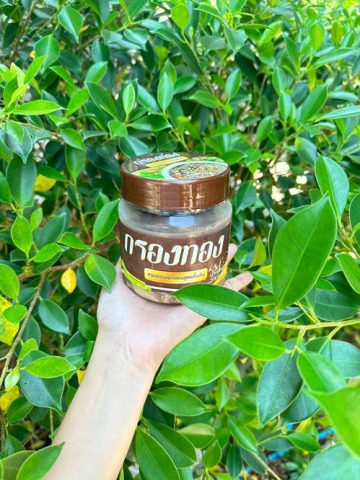 หอยดองเข้มข้น หอยดองเข้มข้น